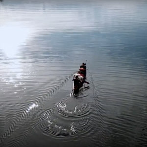 Baird Bros: Canoe Adventure Temagami Wilderness in Canada Ep1