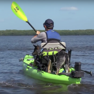 Hooked on Wild Waters - Episode 2