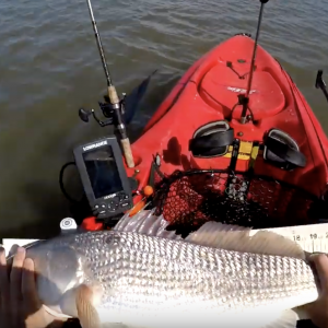 Hunting BIGGER FISH (REDFISH) Kayak Fishing Beaufort SC