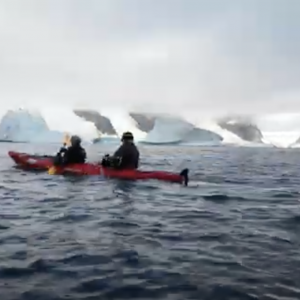 Kayaking and Whales in Antarctica: Booth Island