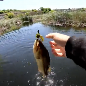 KAYAK Fishing BACKWATER Stone Quarry for AGGRESSIVE Bass !