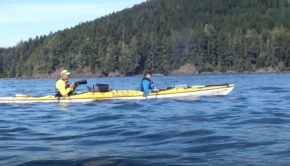 Sea kayaking with Orca, Humpbacks and Grizzly bear Vancouver Island, Canada