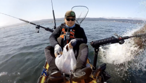 Kayaker Harassed by Sea Lions