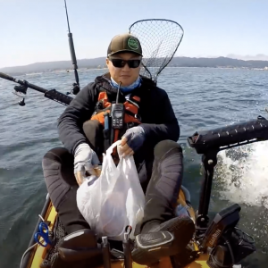 Kayaker Harassed by Sea Lions