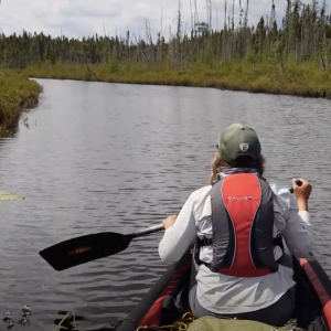 Boreal Bound: 9 Days Canoeing Wabakimi and the Kopka River | Northern Ontario Wilderness