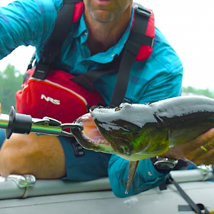 fihing paddle world musky