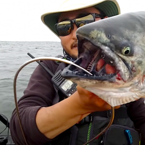 Taku Kondo holding a king salmon kayak fishing in the pacific ocean