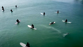 whale swims beneath surfers