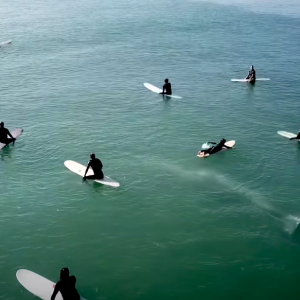 whale swims beneath surfers