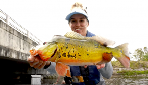 Follow Brie from BA Fishing on an epic SUP fishing session in Florida, this time, they are on the look out for the amazing Peacock Bass! Check it out!