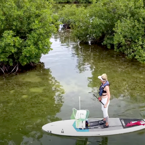 Ever tried lobstering from your SUP board? Brie from BA Fishing takes us through her experience and this unique practice!