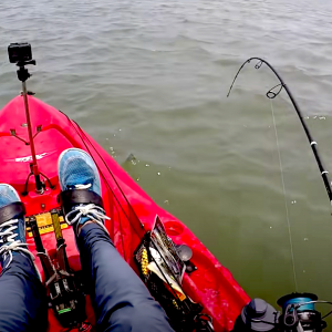 Join Houston Stewart as he heads out kayak fishing on an awesome day full of great fish fights! Check out his tips for using fresh bait to haul in some of his toughest fish yet!
