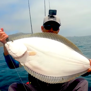 Follow Robert Field, on the hunt for huge California Halibut, all aboard his kayak! Impressive stuff!