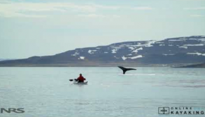 The dramatic coastlines Isafjordur, in the heart of Iceland's Westfjords, are home to towering cliffs, snow-covered mountain slopes, and incredible wildlife. Join Jamie and Simon from Online Sea Kayaking, as they tour the remote waters and get up close and personal with humpback whales.
