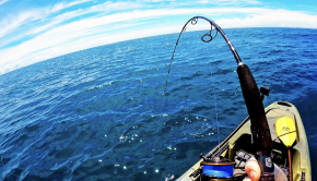 Follow Robert Field on a kayak fishing session offshore in search of the lightning fast kingfish and hard-pulling red snapper. And the action is on fire!